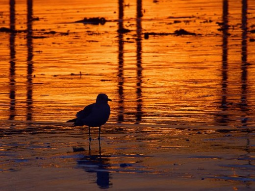 photos sunsets