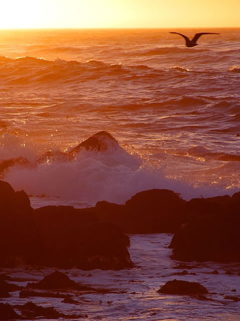 sunset photos
