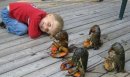 Taken several years ago, Lobster doing exercises with my son....