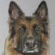 howard profile image