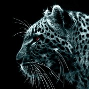charan900 profile image