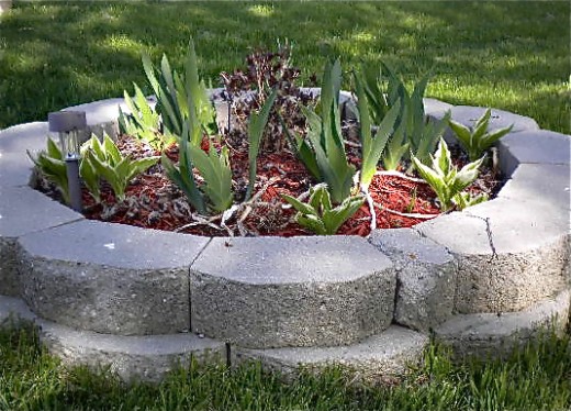 One of 2 flower beds we put at the end of our driveway, filled with hostas, Irises and a weigela shrub.