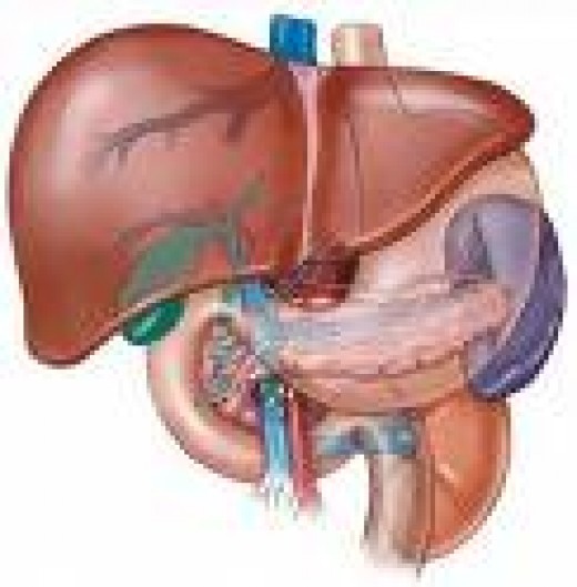 Vytorin precautions
