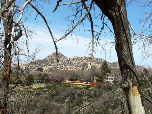 A view of The Pinnacles with trees framing it in the foreground.