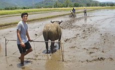 AN EXCHANGE STUDENT IN THE TRADITIONAL WAY OF FARMING  (Photo Credit: http://ezramagazine.cornell.edu/)