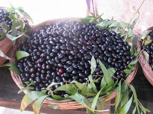 basketful of jamuns ready for sale...