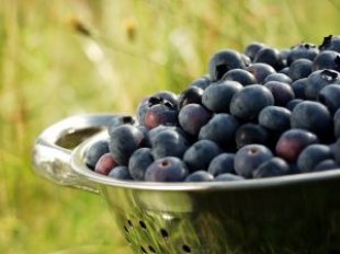 Blueberries are high in antioxidants! 