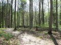 Indiana State Park Pictures - Part Two