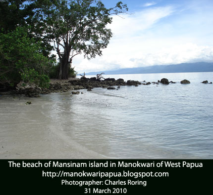 tropical island of Mansinam in Indonesia