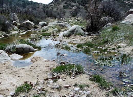 Another picture of the creek running alongside The Pinnacles.