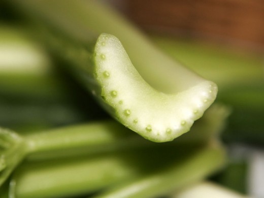 Celery stalk and cross-section