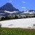 Flowers and Snow at Logan Pass