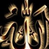 asse profile image