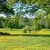 View from park-like Hatfield Forest