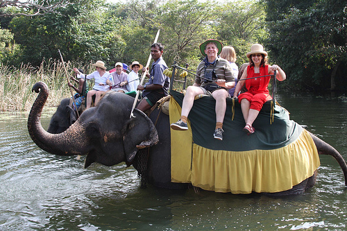 Elephant Back Riding is very popular among tourists