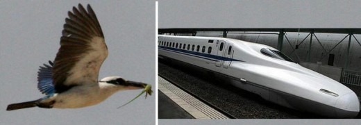 Kingfisher from Wikimedia Commons and Shinkansen Bullet Train from Filmage Public Domain