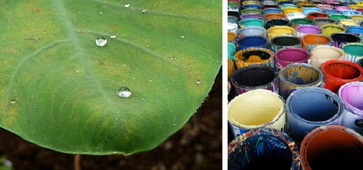 Lotus leaf from Wikimedia Commons and Paint Cans by kyle jordre @ Flickr