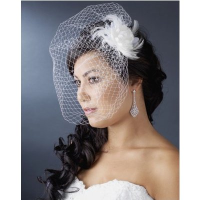 Birdcage Wedding Veil: half veil covering eyes and cheeks