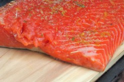 The Best Salmon Fillets