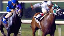 Horse Racing Tracks