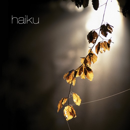 an ambient album that takes you on an inner journey through lights and landscapes The music communicates various feelings and is much inspired by nature and own experiences. http://iacmusic.com 
