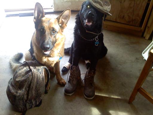 Yager and Gunner ready to go fishing. 