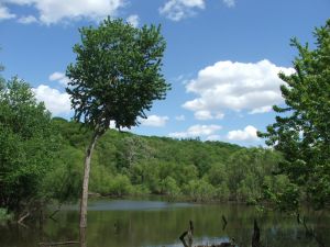 Along the Des Moines River. (asadchev on Sxc.hu)