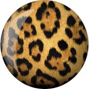 Brunswick Leopard