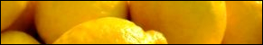 Kids Science Experiments with Lemons