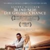 THE BLIND SIDE the movie photo credit: imdb.com 