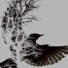 Bob11235813 profile image