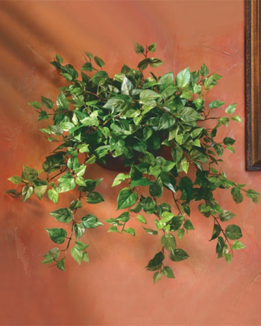 Silk Plants Why Buy Artificial Plants Online? hubpages