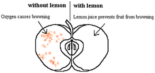 Lemon juices contain vitamin C which is an antioxidant and it prevents oxidation. 