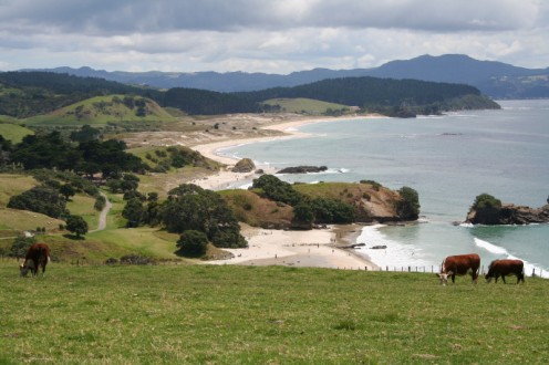 Part of New Zealands Coastline