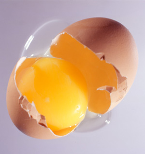 Picture taken from http://www.fitsugar.com/5-Things-Eggs-594558