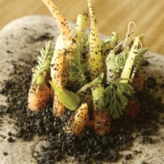 Noma's Baby Carrots with Edible Soil   Courtesy of World's 50 Best