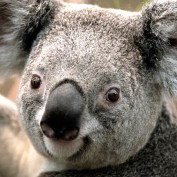 HarshitG profile image