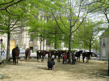 Parc Sainte-Croix with horses and ponies for hire