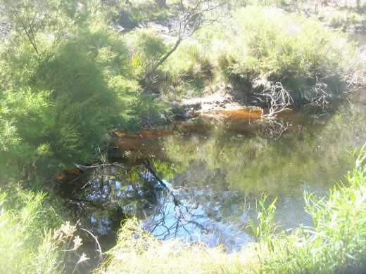 There is nothing so still as a surface of water before the moisture comes down... There is nothing so still as a surface of water before the moisture comes down...