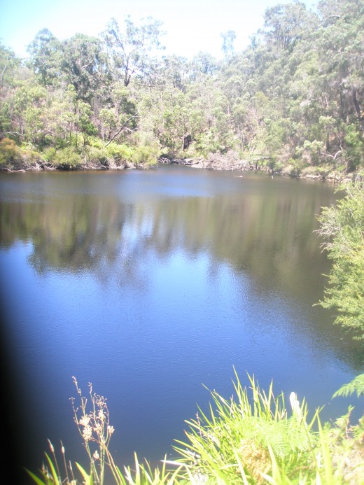 Promise of better times coming our way. Transformation in nature. Promise of better times coming our way. Transformation in nature.