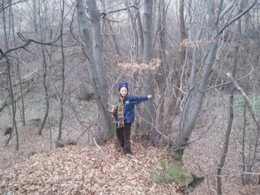 Some of them leave us happy and warm our hearts.. Some of them leave us happy and warm our hearts..