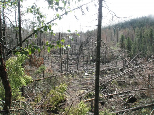 If you get negative ones instead, use that, learn from it and change-TRANSFORM. If you get negative ones instead, use that, learn from it and change-TRANSFORM.