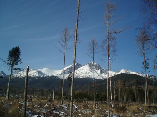 Just focus on what you are giving out and the reflections will comein their own time. Just focus on what you are giving out and the reflections will comein their own time.