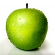 rumelphones profile image