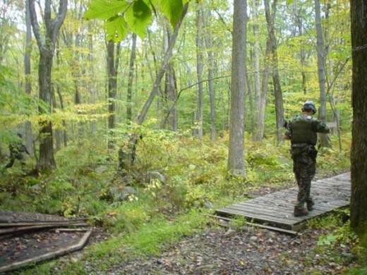 Woodland airsoft