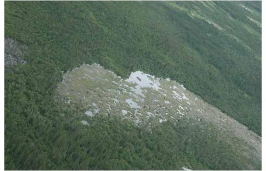 10) Largest Beaver Dam in the World