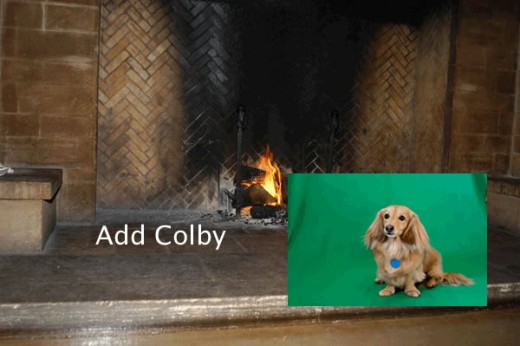Drag the Colby image, which was taken against a green background, onto the intended background.