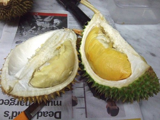 Durian Cultivars