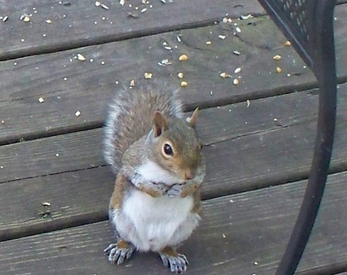 It wasn't me! It was the others!