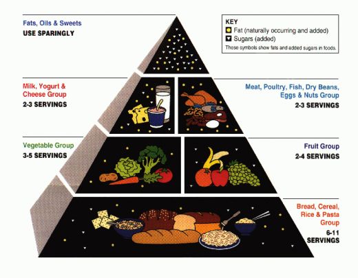 Above is a picture of the USDA food pyramid which helps illustrate a balanced diet. 